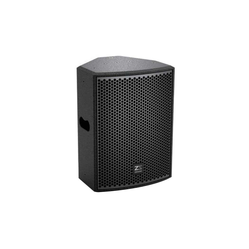 Loa toàn dải 10 inch CP10