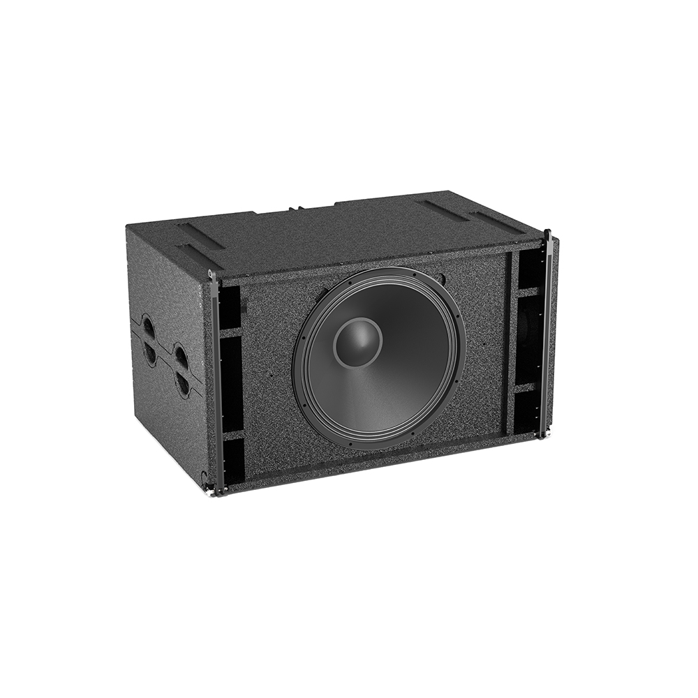 Loa Siêu Trầm 21 inch LS21