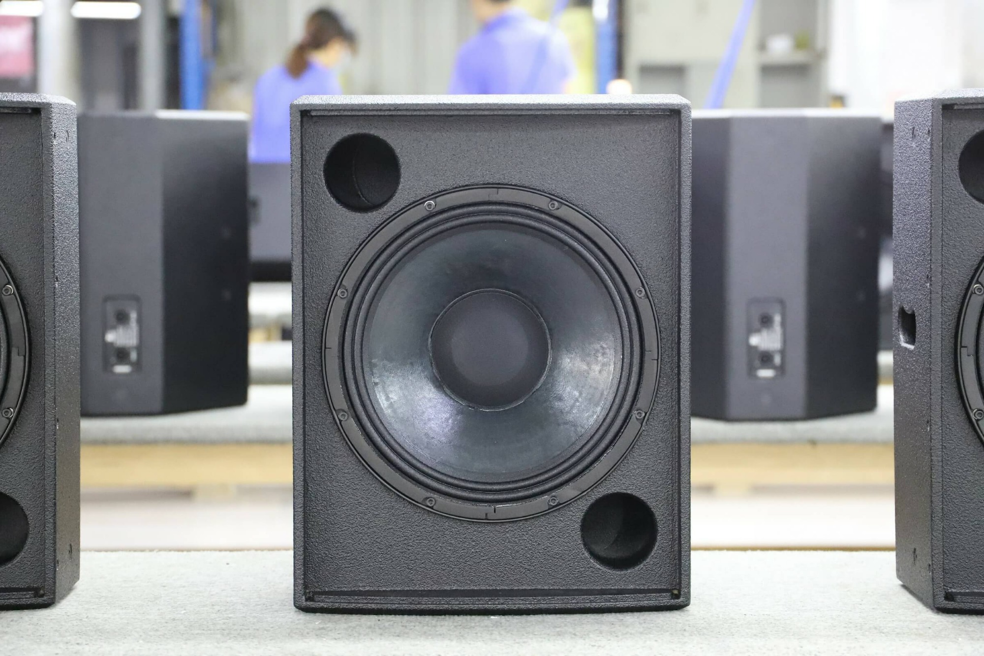 full range speaker 12 inch