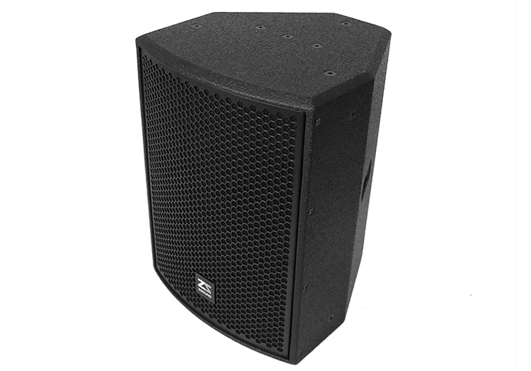 full range 10 inch speaker